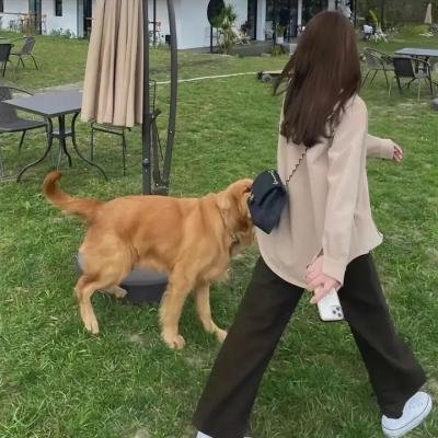 唱吧 圣塔露茜亚