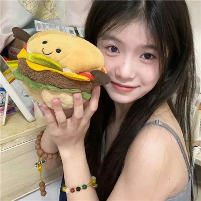犯罪生涯